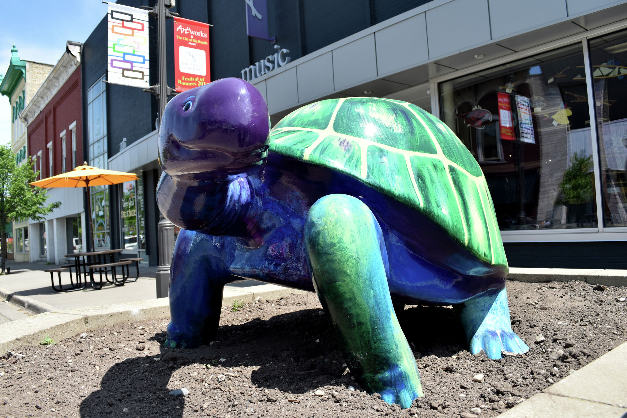 The story of Harriet, Artworks' iconic painted turtle