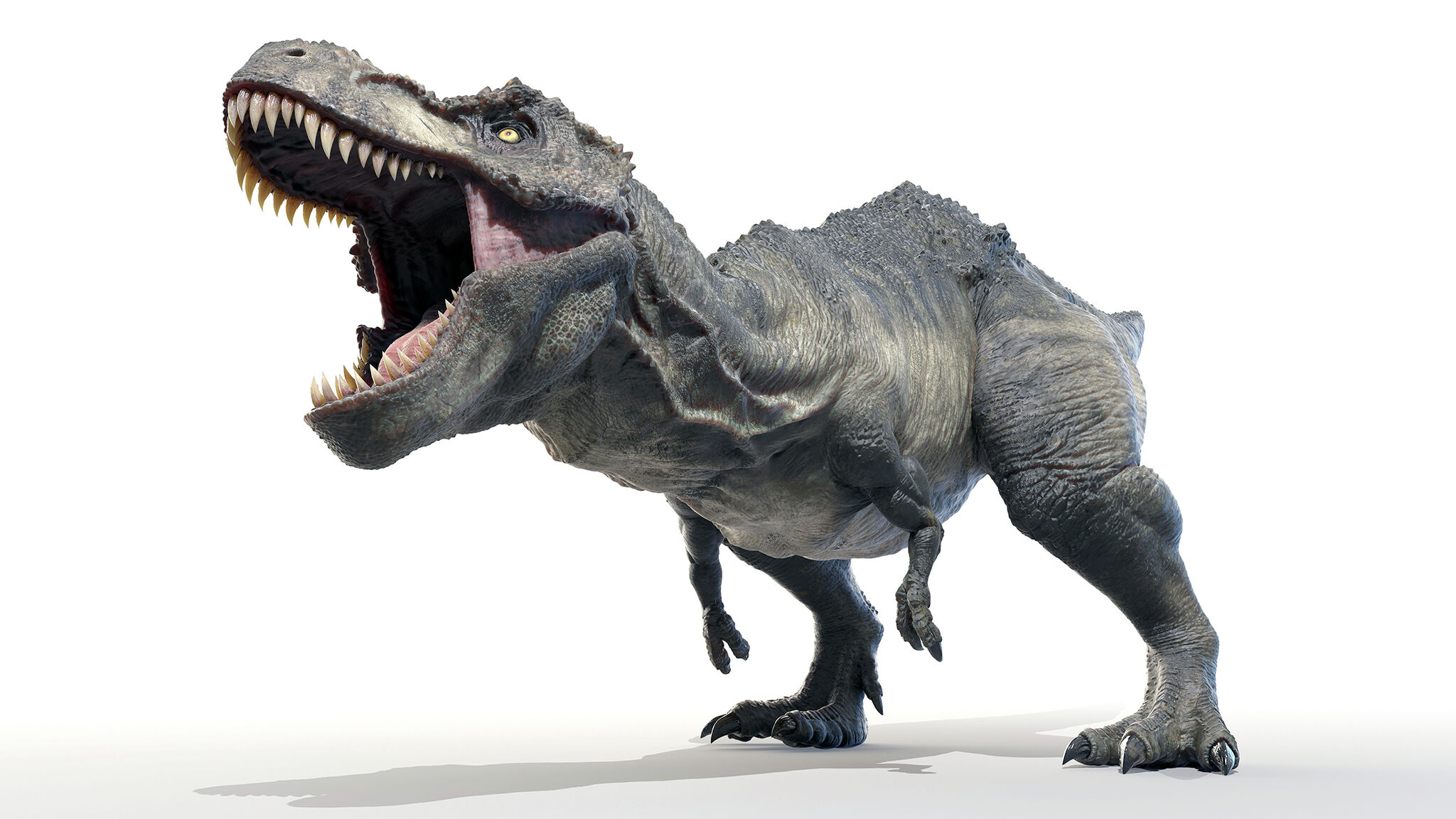 Dinosaurs take up residence for summer at Kidzeum - Vimarsana News