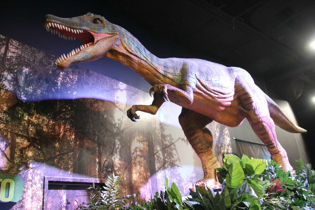 Mystic Aquarium celebrates 50th anniversary with new Dino Seas exhibit