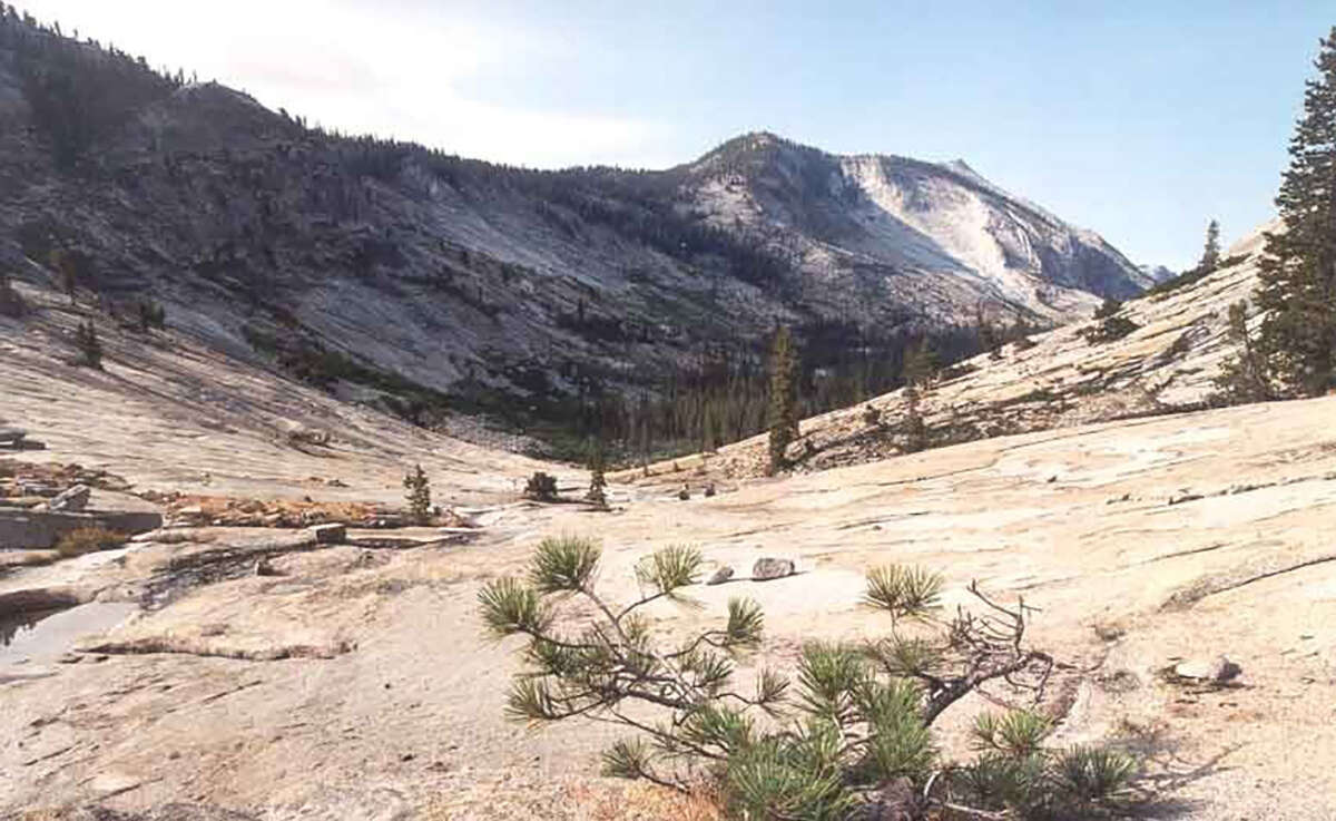 Even John Muir, the “Father of the National Parks,” was knocked unconscious when he fell in Tenaya Canyon at California’s Yosemite National Park.