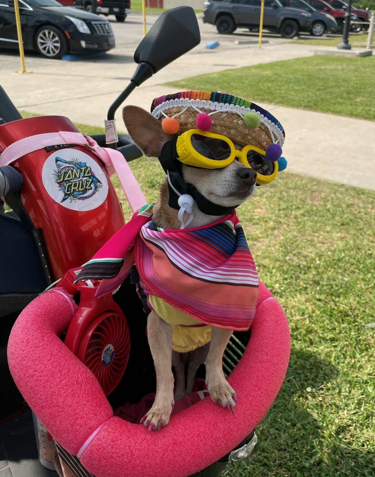 La Porte's Sylvan Beach Houston getaway offers Galveston alternative