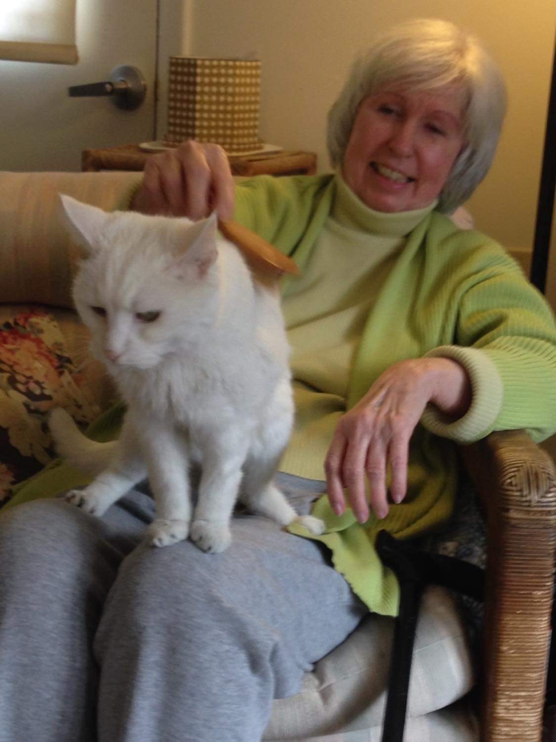 CT radio personality Kathy Wyler dies: 'Great mentor' - Vimarsana News