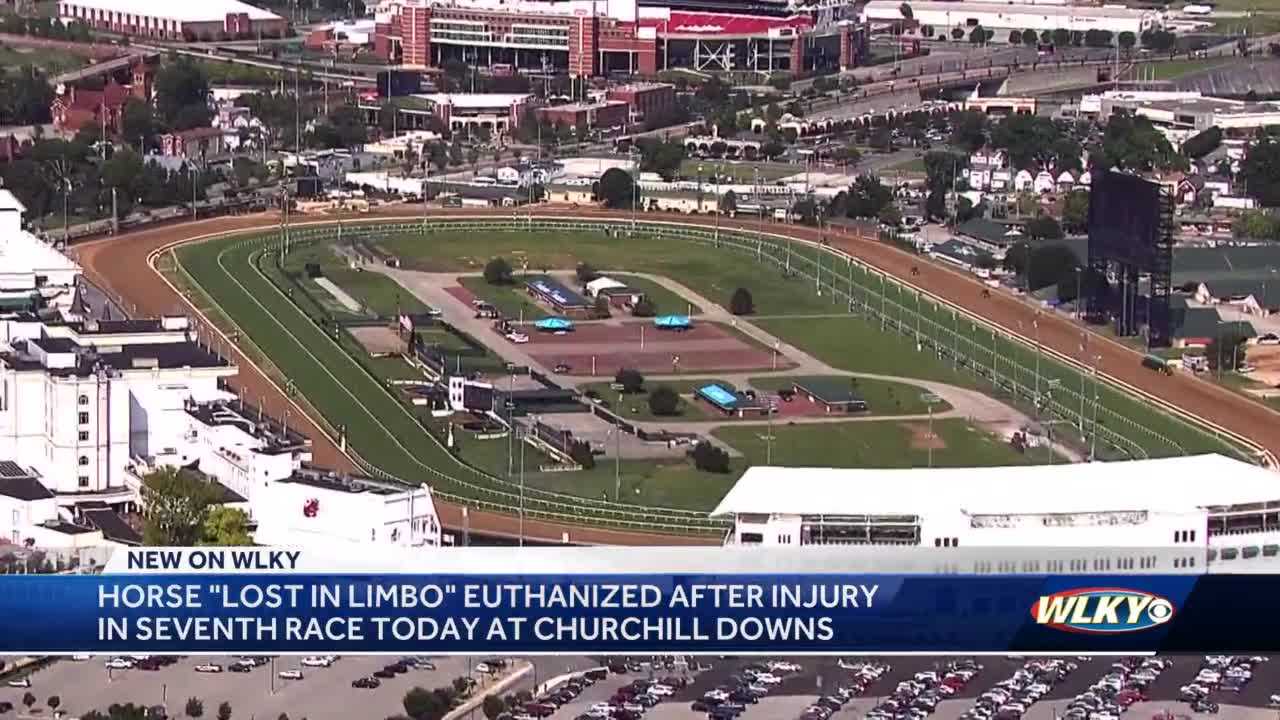 10th horse death confirmed at Churchill Downs since April