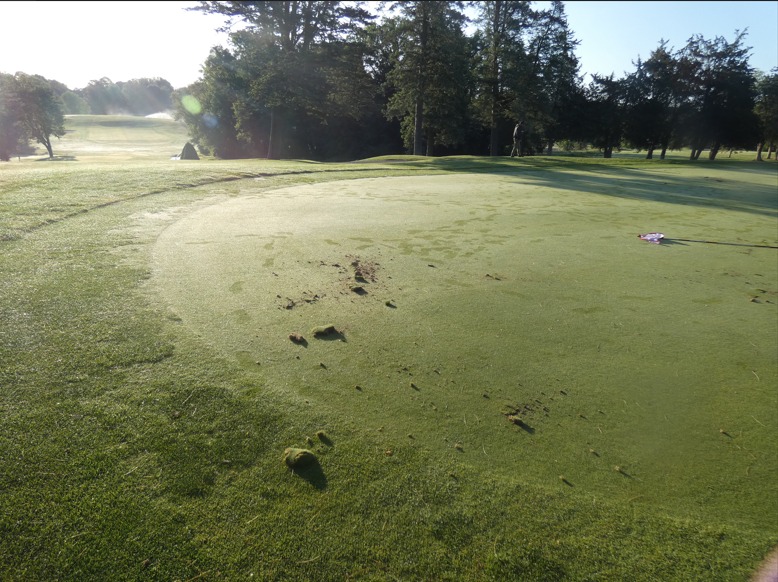 Vandals damage Rockledge Golf Course in West Hartford police say Vandals damage Rockledge Golf Course in West Hartford police say