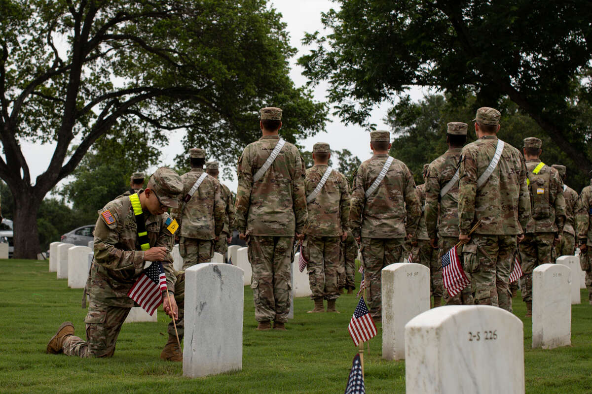 Veterans day stores open