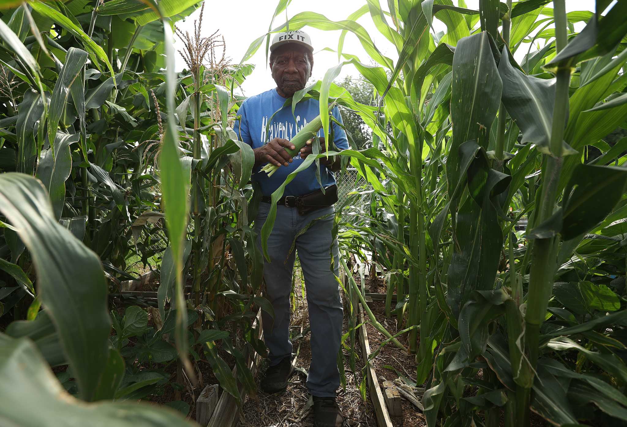 San Antonio Gardener Finds Mission In Field Behind San Antonio Church   RawImage 