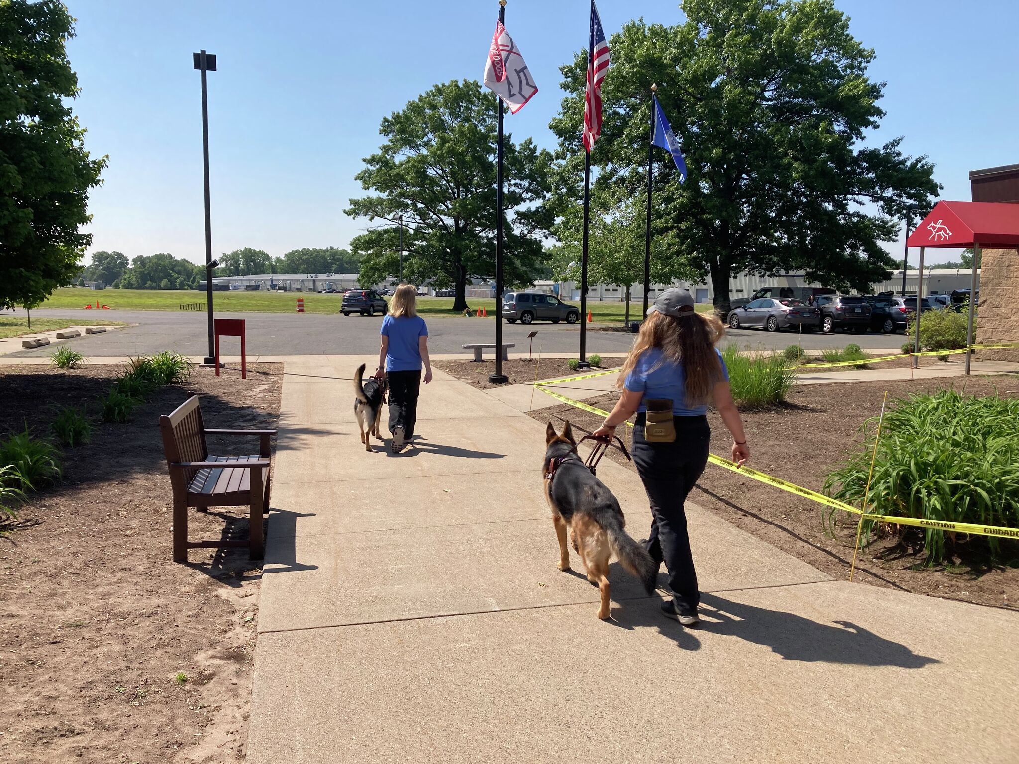 Fidelco Guide Dog trainers in CT bring grit and passion to job