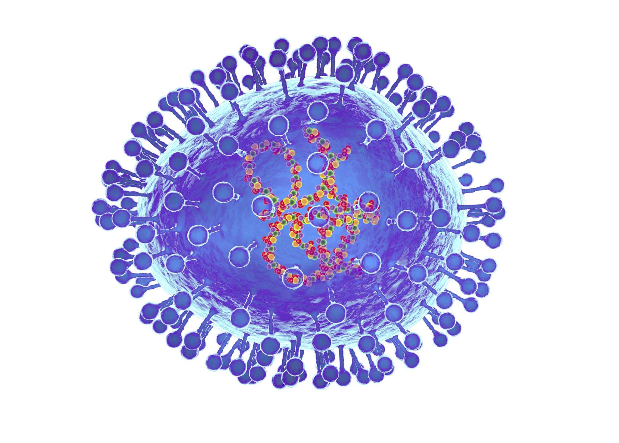 pneumonia virus structure