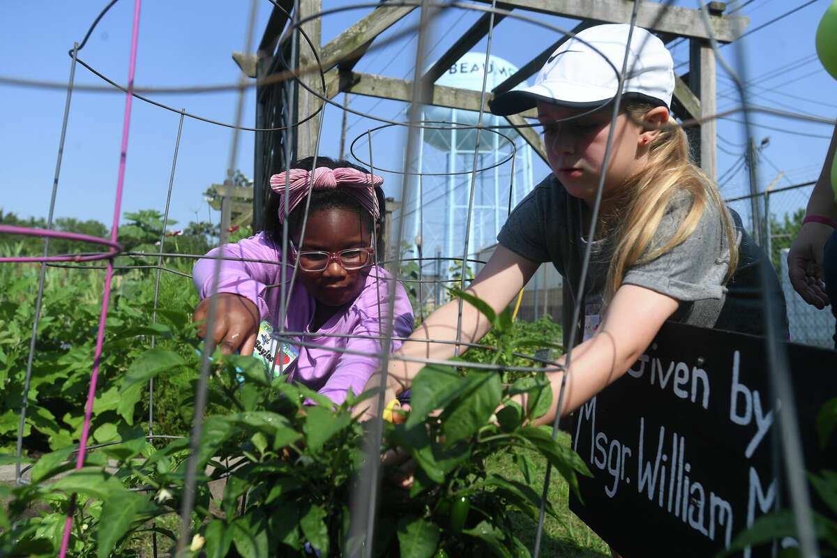 Astros Couple Grows Support for Urban Harvest