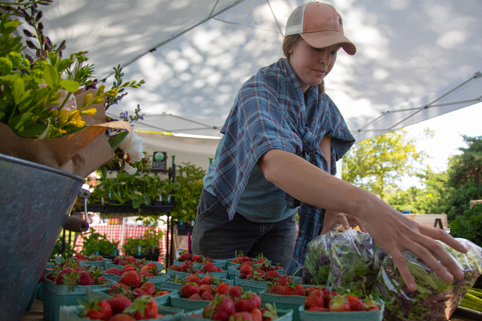 Wilton Farmers Market opens for the 2023 season