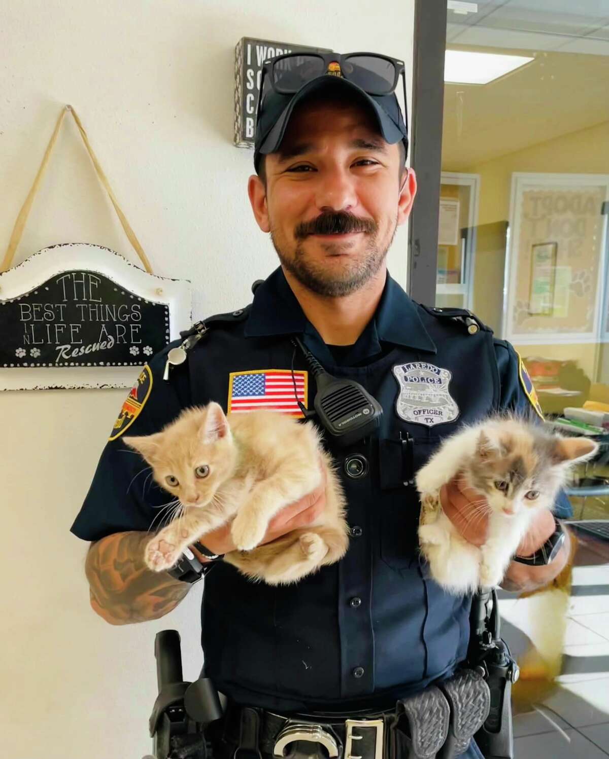 Laredo police present LACS Pets of the Week available for adoption