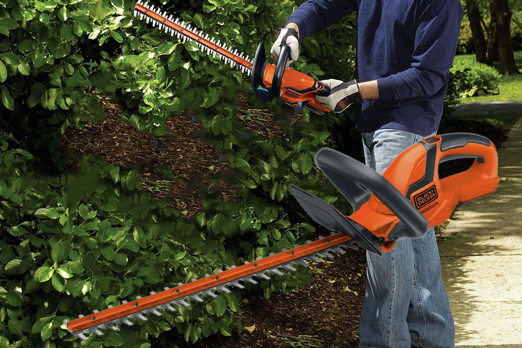 Black+Decker 20V Max Cordless Hedge Trimmer and 50 similar items