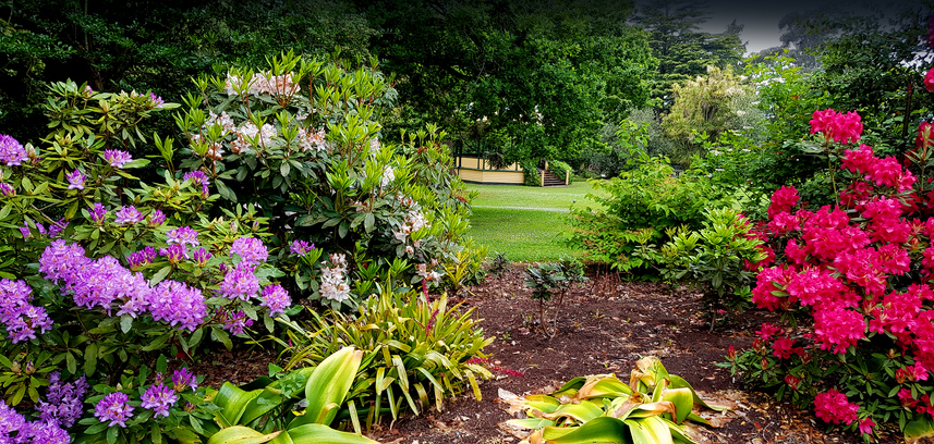 Garden Walk in June to include six Jacksonville gardens - Vimarsana News
