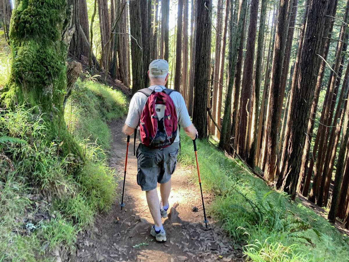 How to survive the Dipsea, the Bay Area's legendary trail race