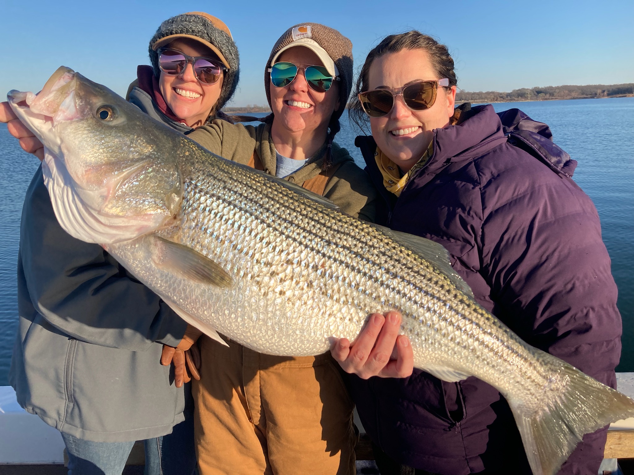 Lake Texoma ranked as best fisheries for striped bass