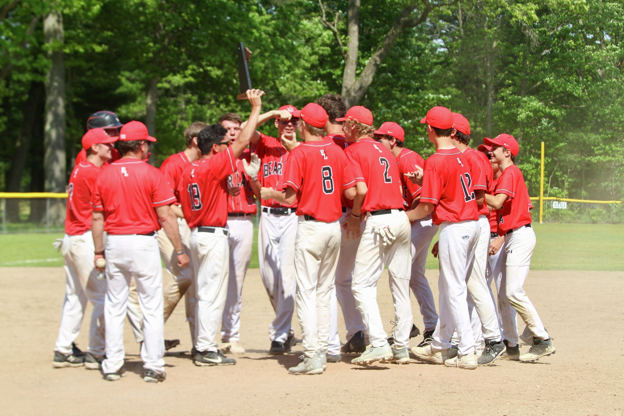 Bear Lake baseball defeats Brethren, wins district title