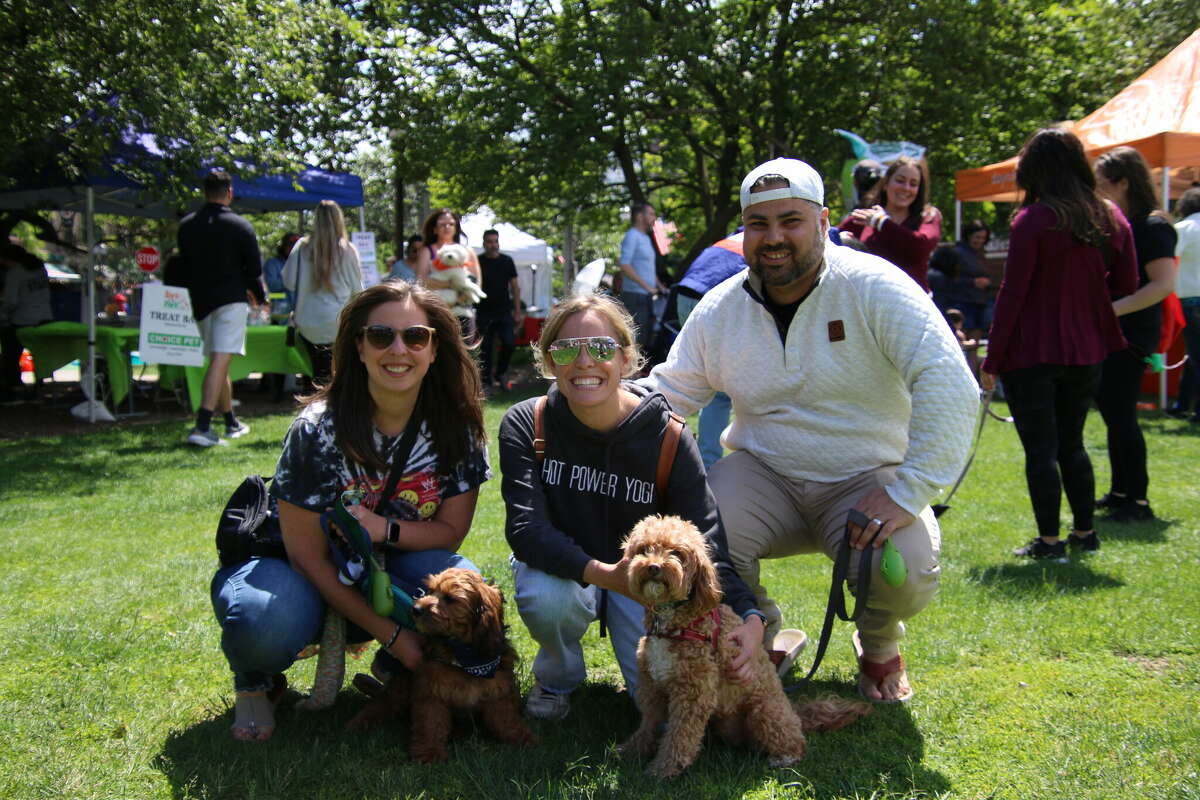 Bark in the Park  Stamford Downtown - This is the place!