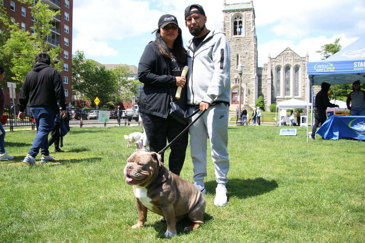 Bark in the Park  Stamford Downtown - This is the place!