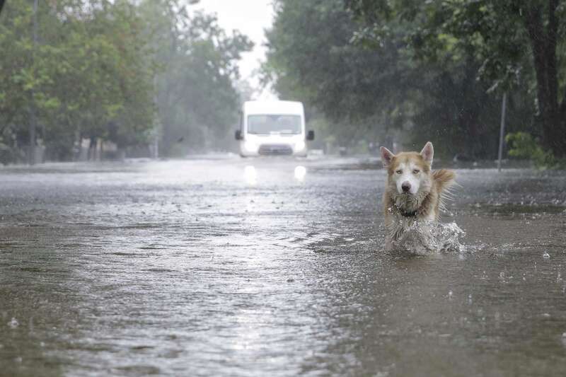 What is Houston's alltime high temperature record?