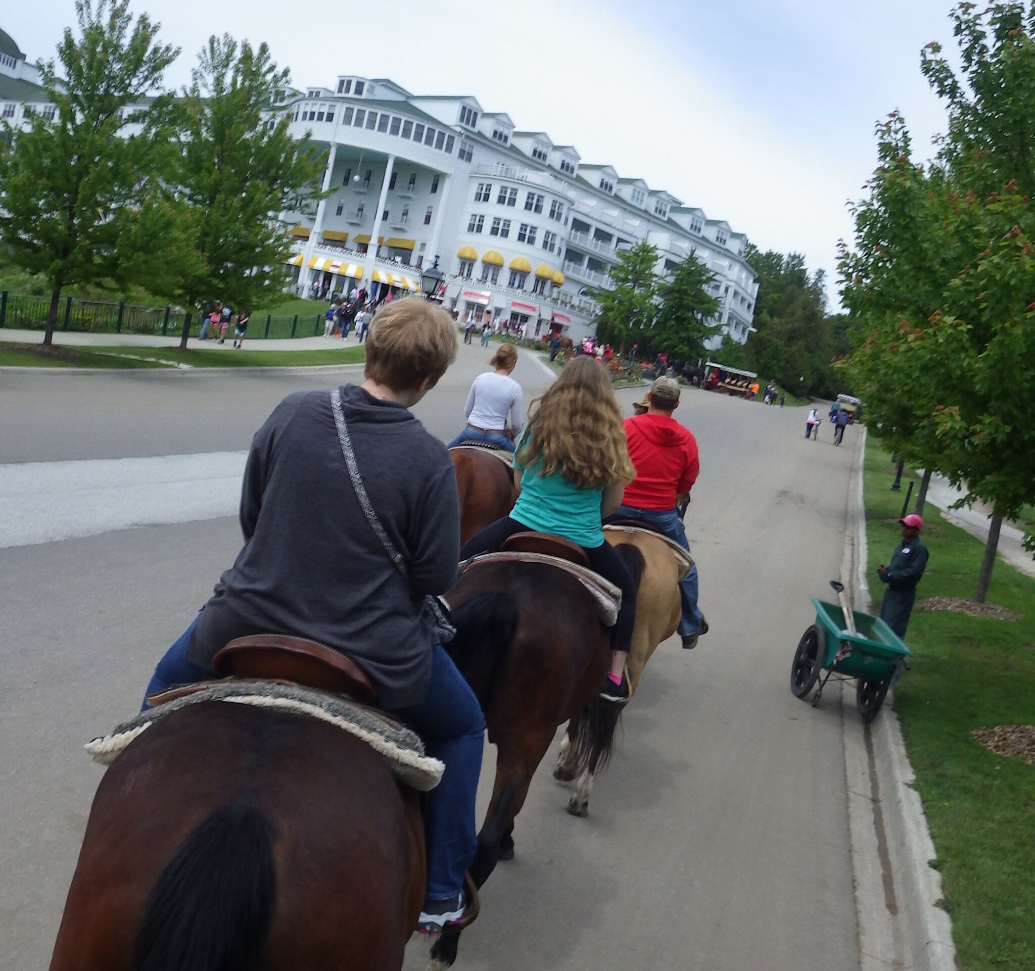 All Things Horses on Mackinac Island MI - Do - Mackinac Island Tourism