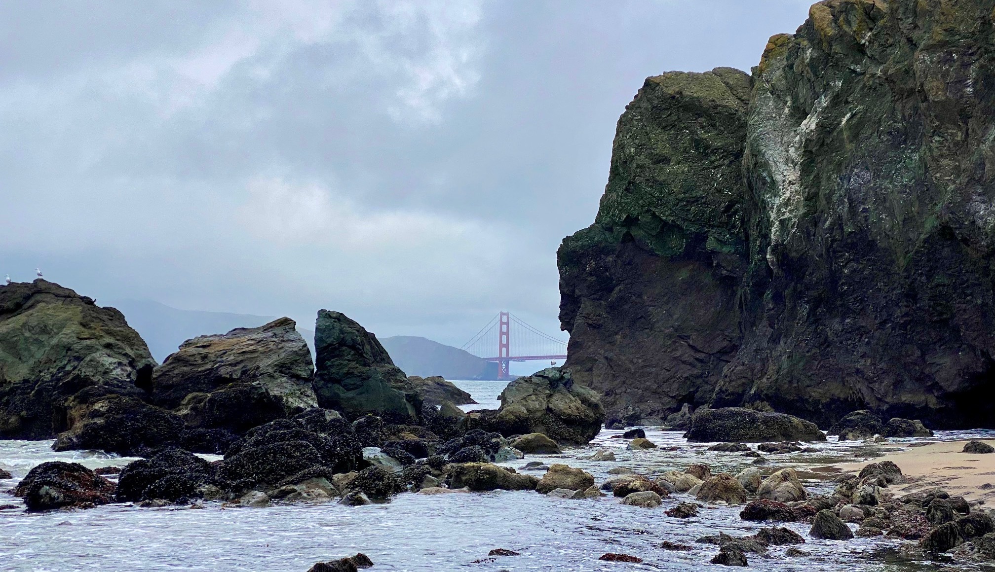 Mile Rock Beach: All to know about this secluded SF beach