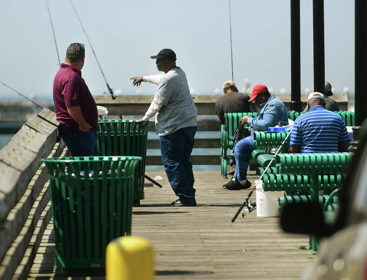 CT fisheries are changing with the climate, and help is needed