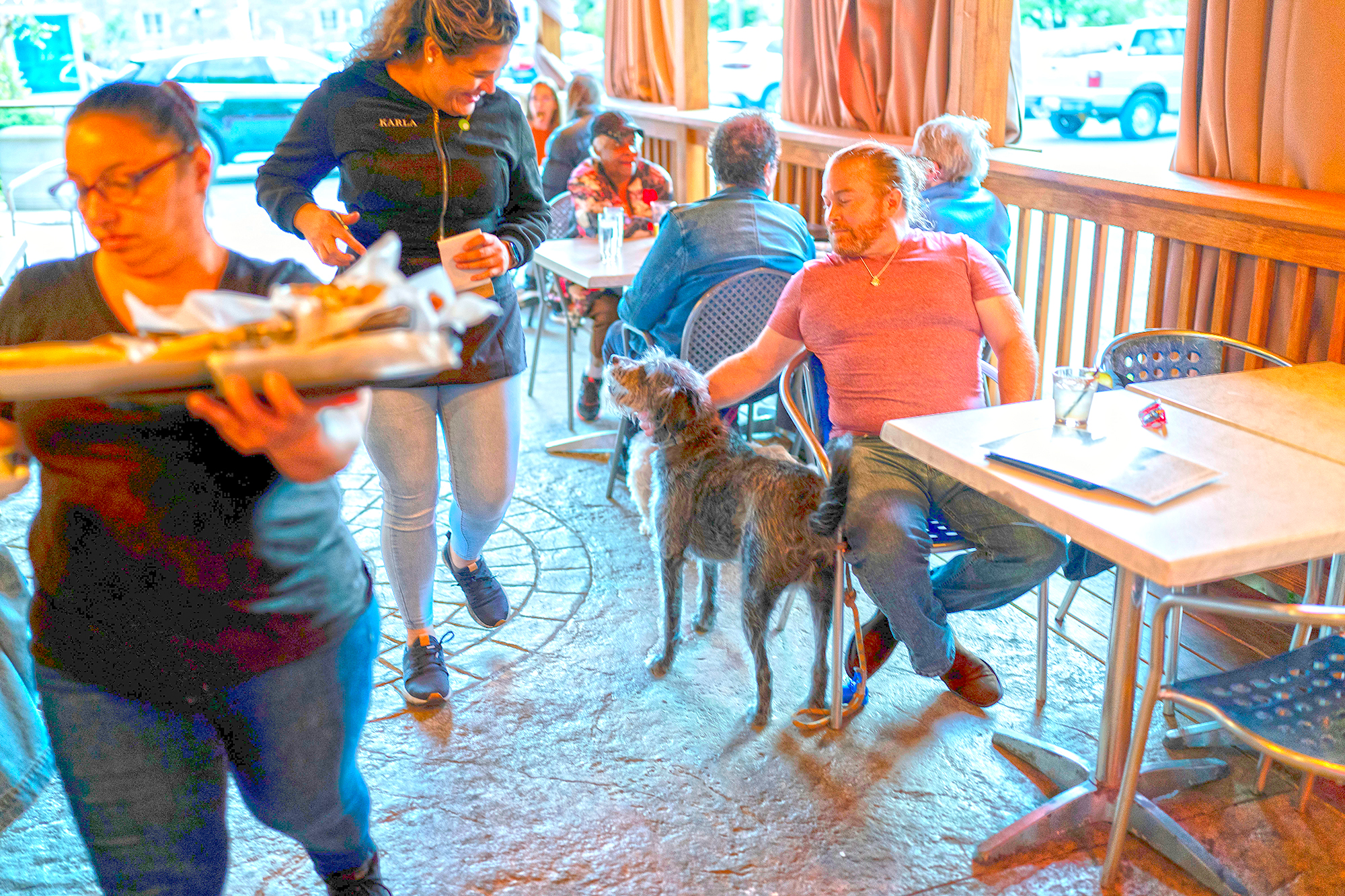 Not everyone is happy about easing rules on dogs in diners - Vimarsana News