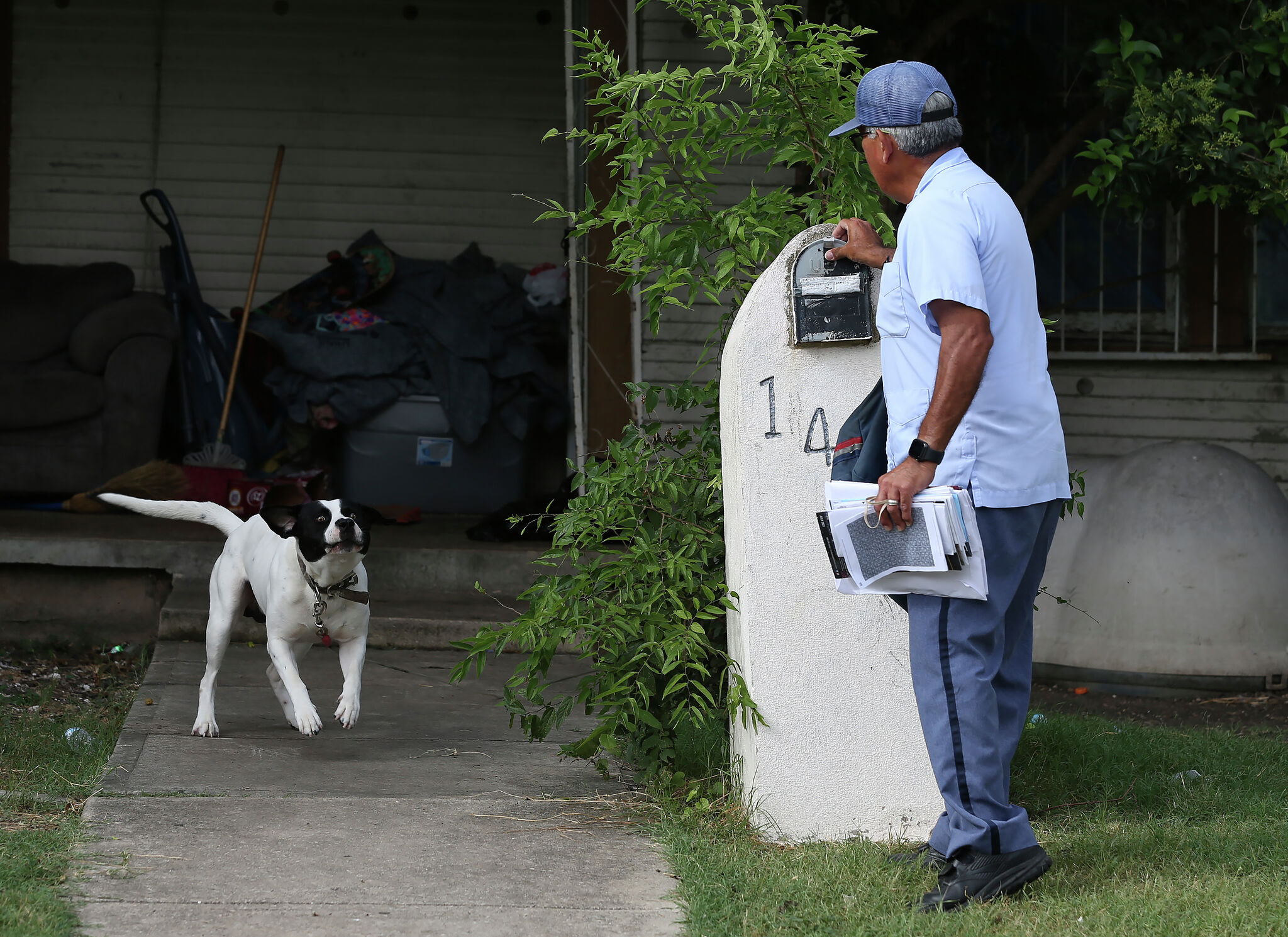 Here's what to do if a dog attacks you in San Antonio
