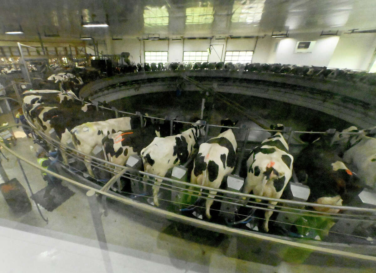 Cow poop turns to natural gas at this Connecticut farm