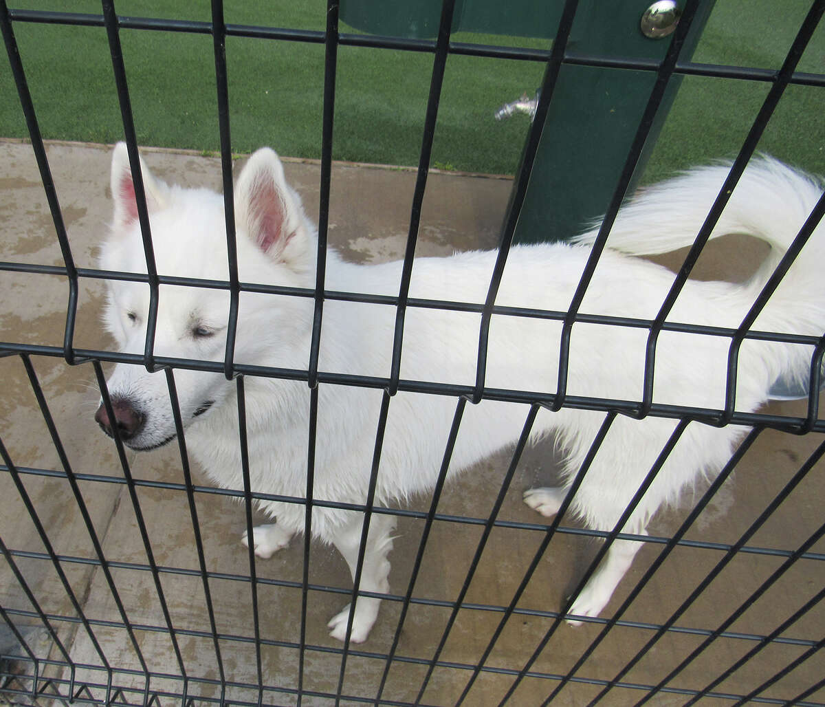 Sign dedication held at Brent Leh Dog Park in Edwardsville