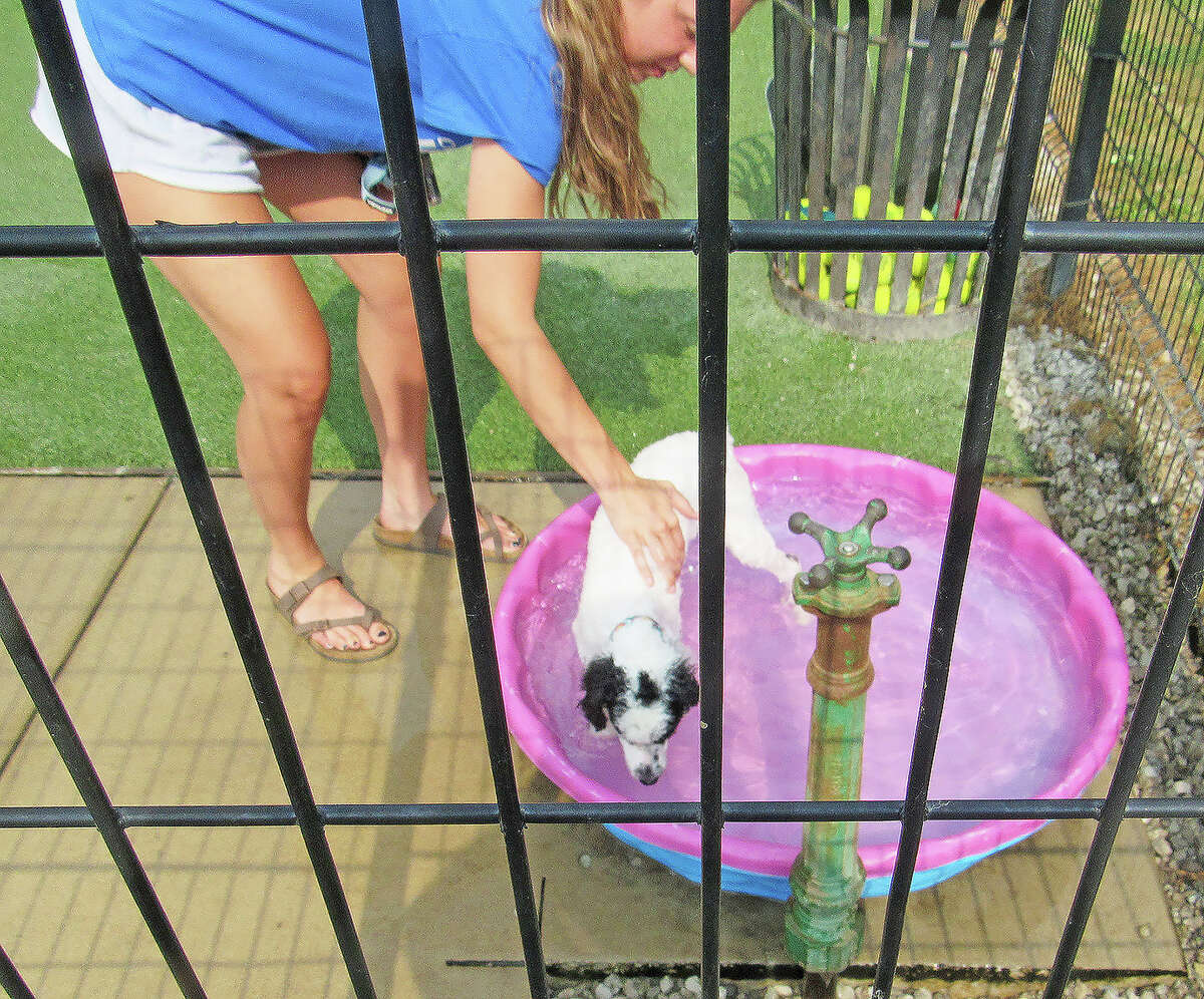 Sign dedication held at Brent Leh Dog Park in Edwardsville