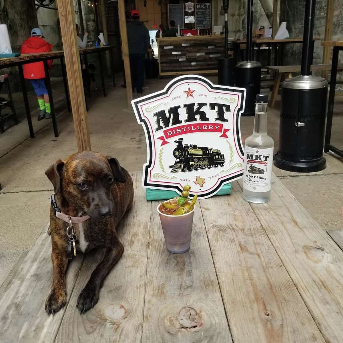MKT Distillery's unofficial mascot, Abby, poses on the patio with "Distillery Dog," a signature cocktail named for her.