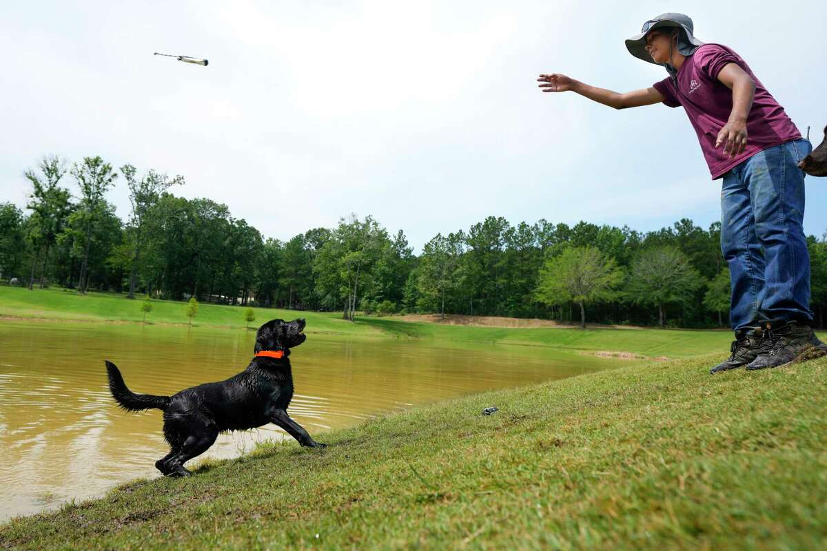 Montgomery County pet resort lets your dogs live in luxury