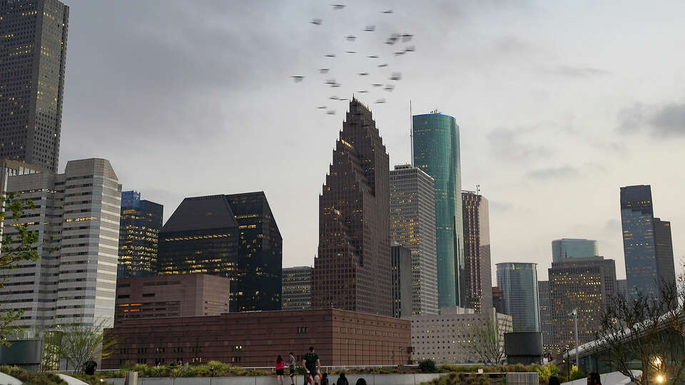 Birds fly by as people watch the Houston skyline as the sunsets on Monday, March 6, 2023 in Houston.