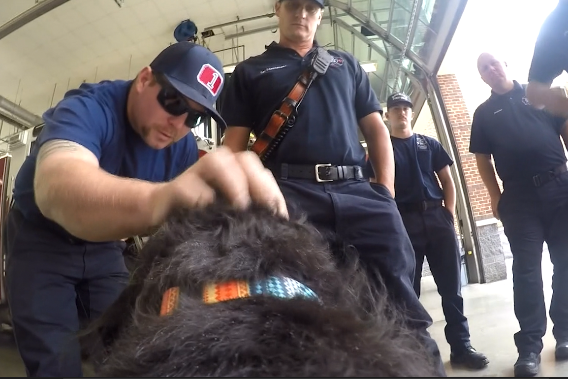 Video: Firefighters reunite with dog they saved from house fire