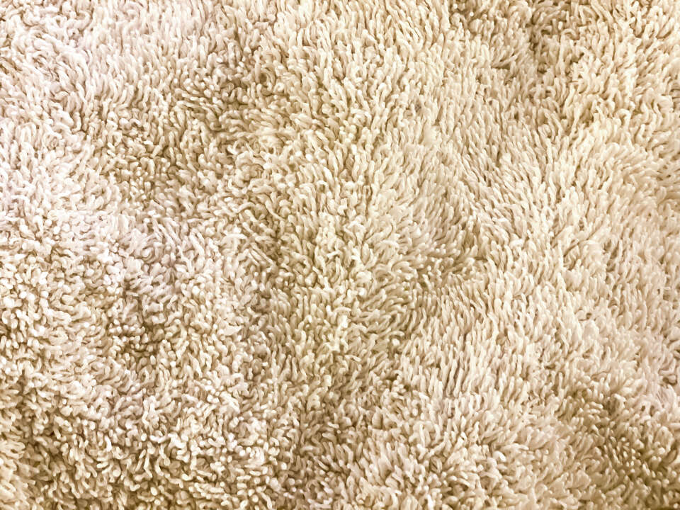 How to Remove Old Pet Urine Stains from Carpet