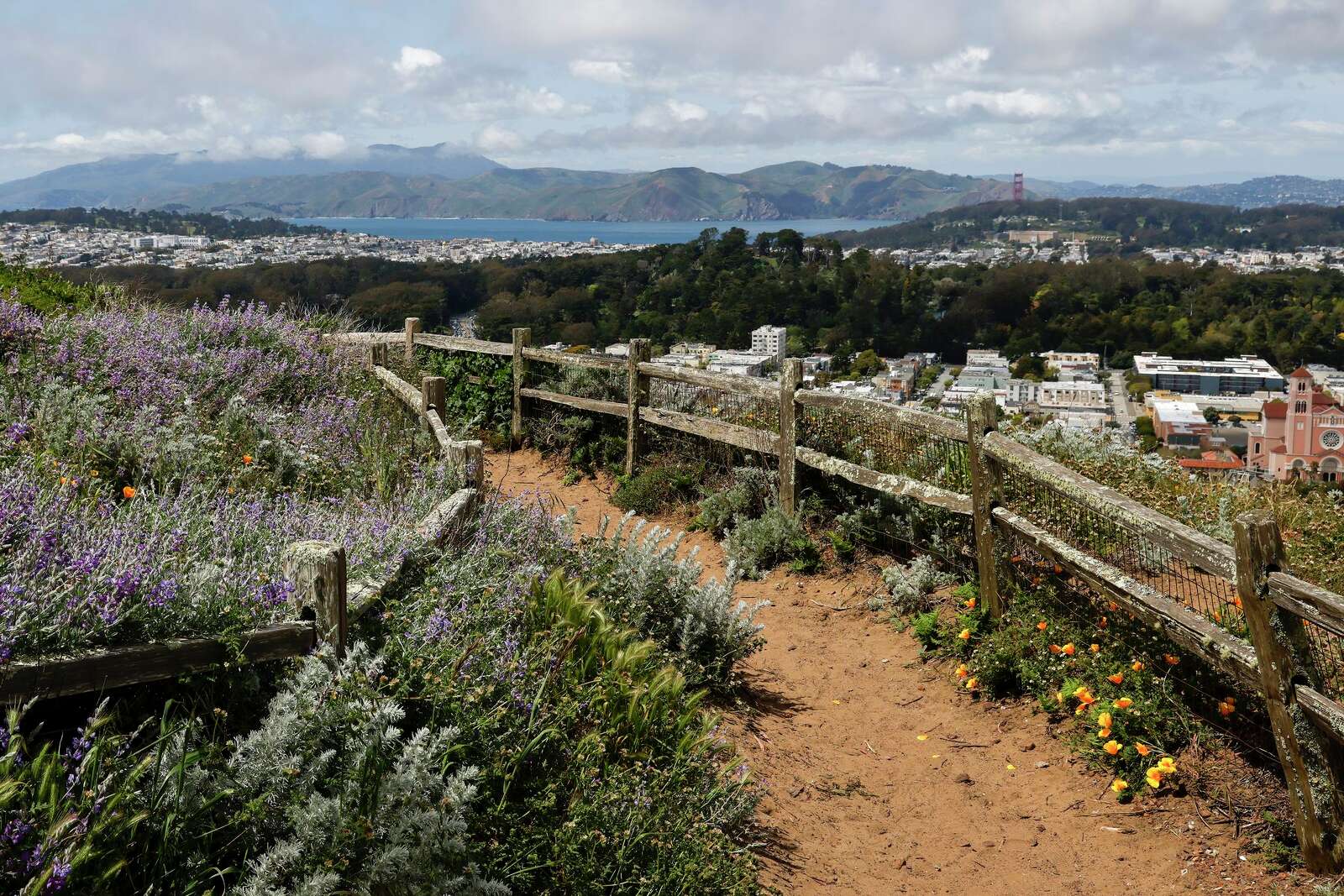 The 10 best views in San Francisco