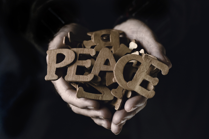 The power of non-violence: Myths and reality — Haley Morrow - Vimarsana News