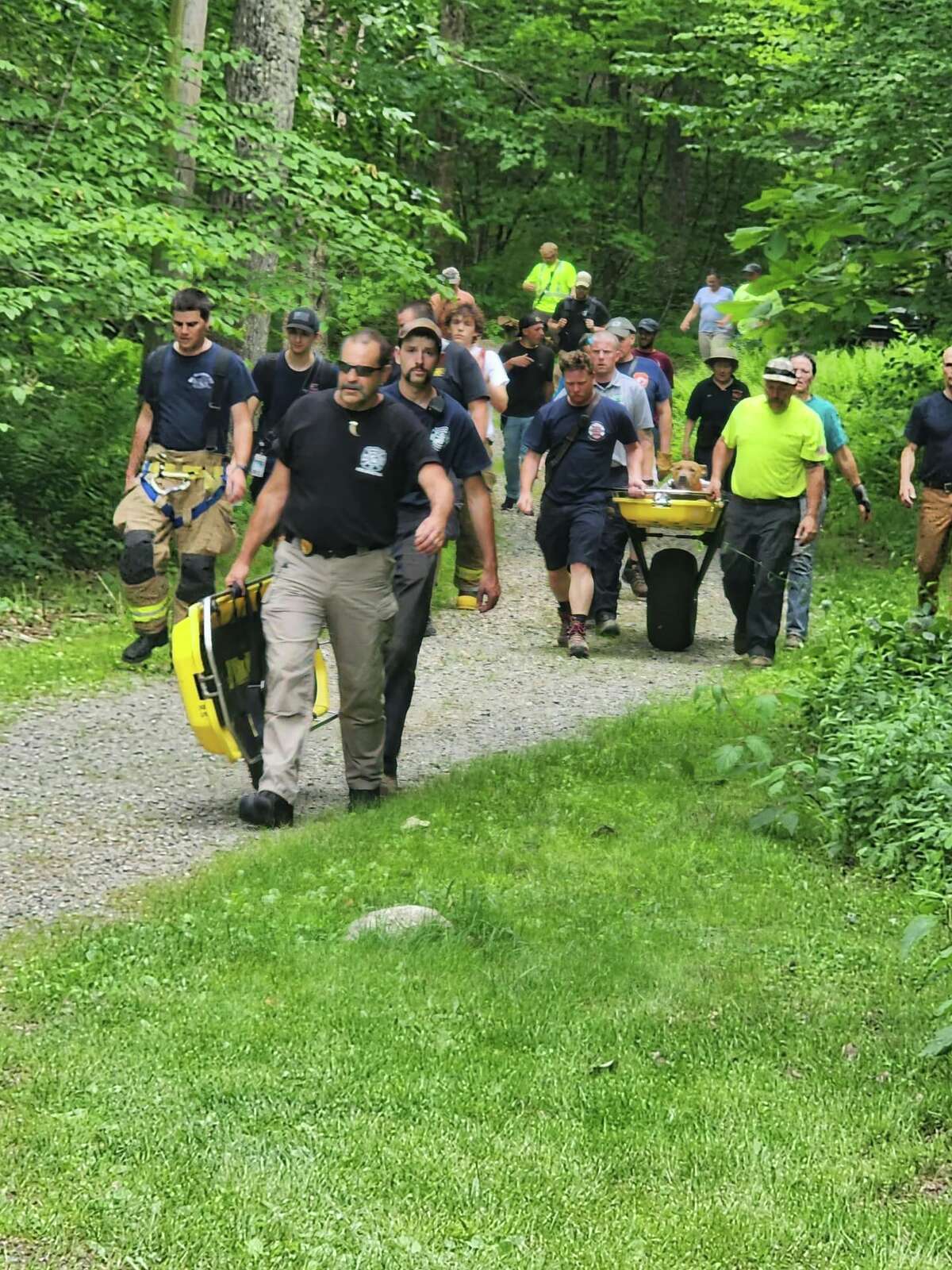 Fire crews rescue dog who jumped from tower in Mount Tom State Park