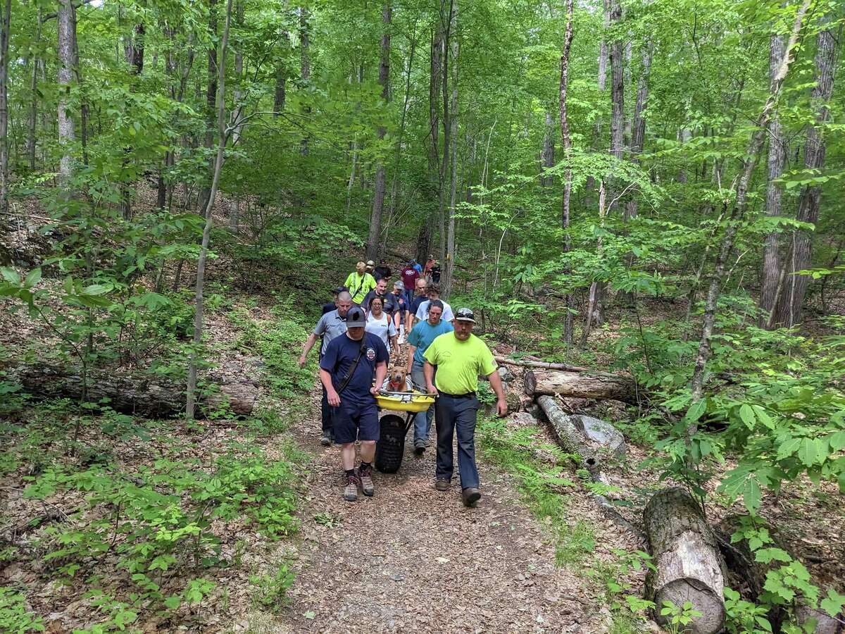 Fire crews rescue dog who jumped from tower in Mount Tom State Park