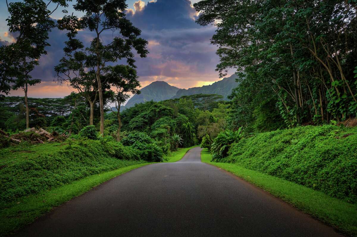 The Hoomaluhia Botanical Garden on Oahu abuts the Koolau Range mountain range.