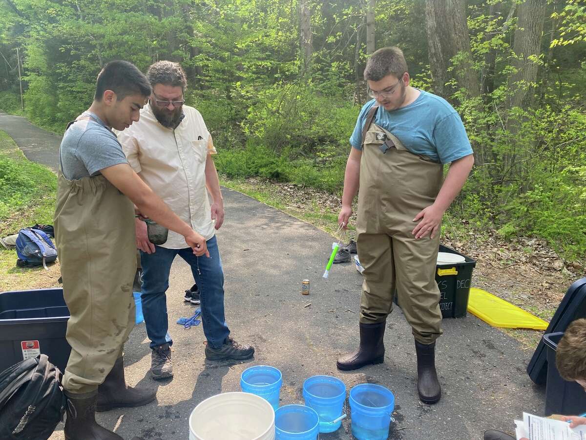 Students help DEC count glass eels in the Hudson River