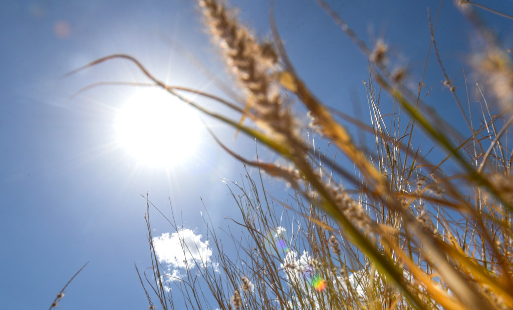 Laredo Health asks community to protect itself during summer heat - Vimarsana News