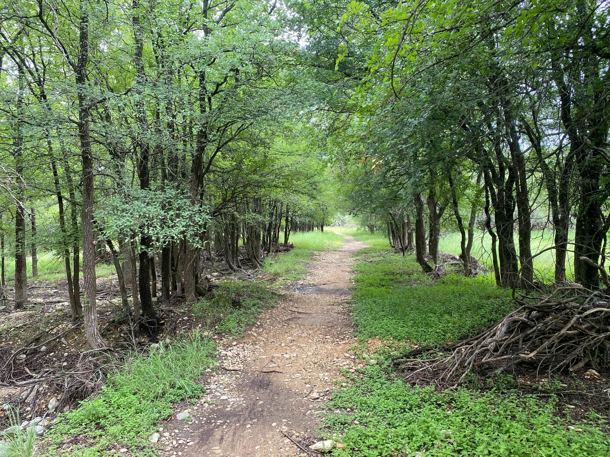 Explore for hidden gems along this San Antonio trail - Vimarsana News