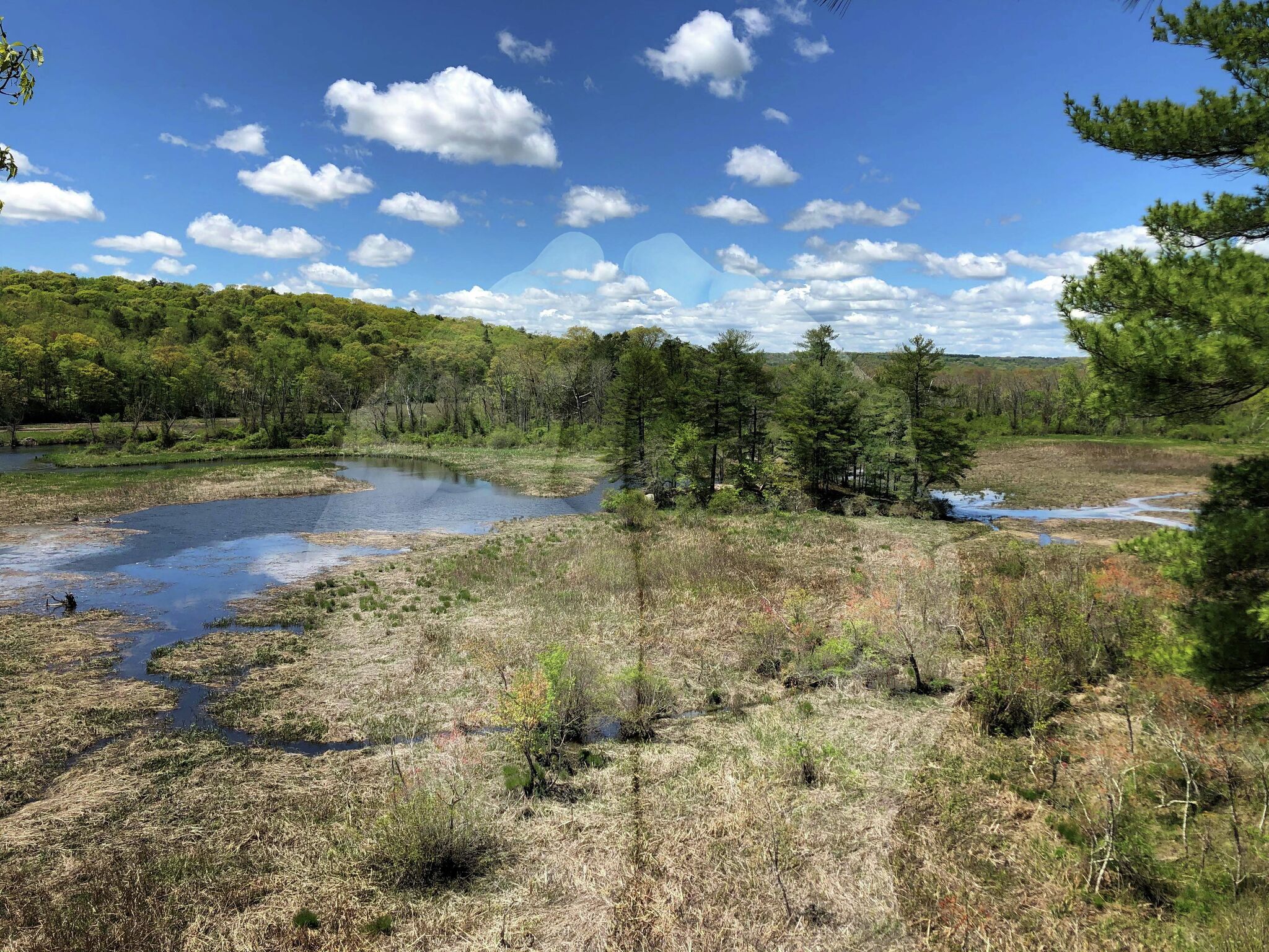 Land trusts are key to preserving CT's wilderness areas