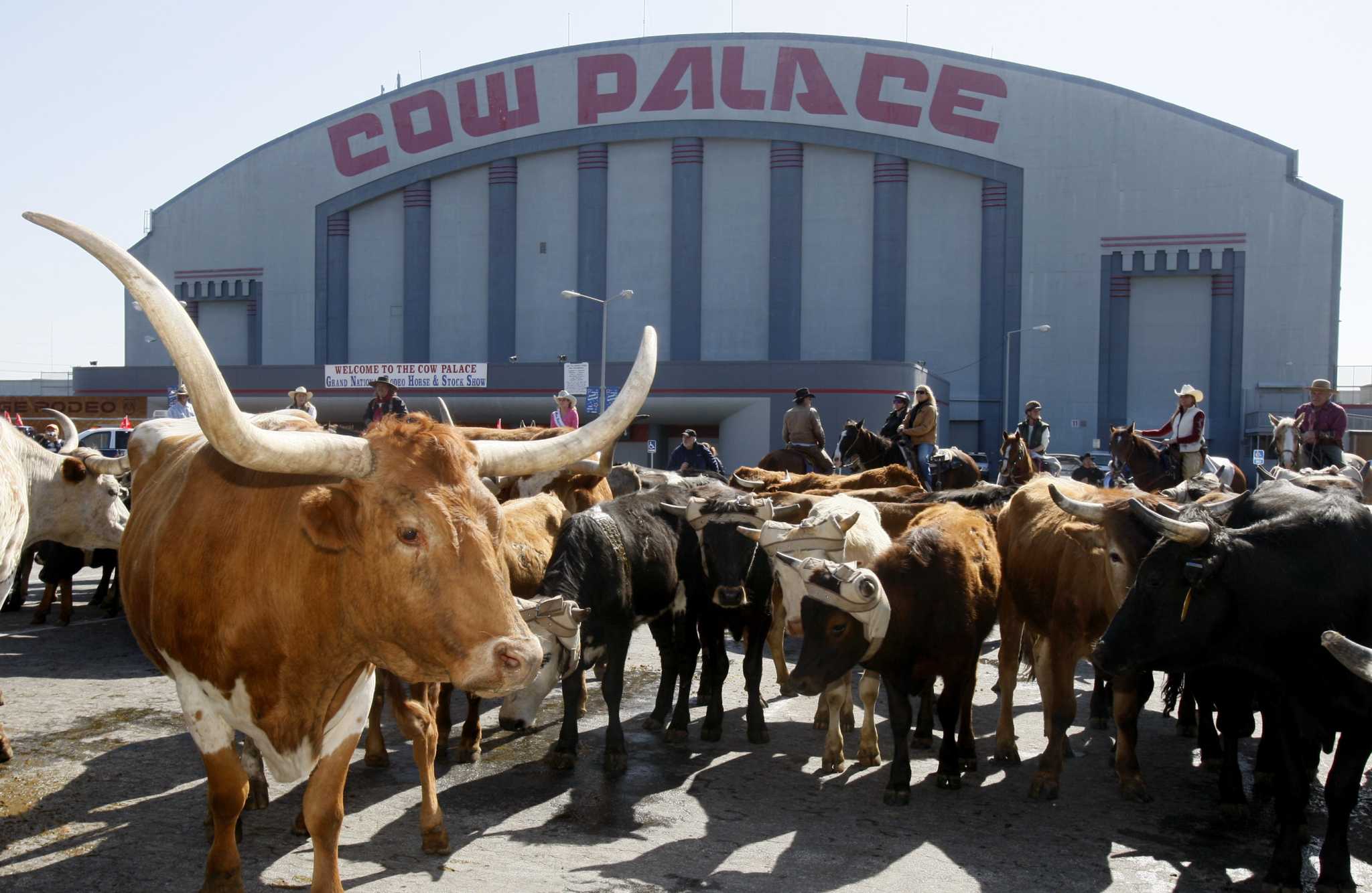 How did the Cow Palace arena get its name?