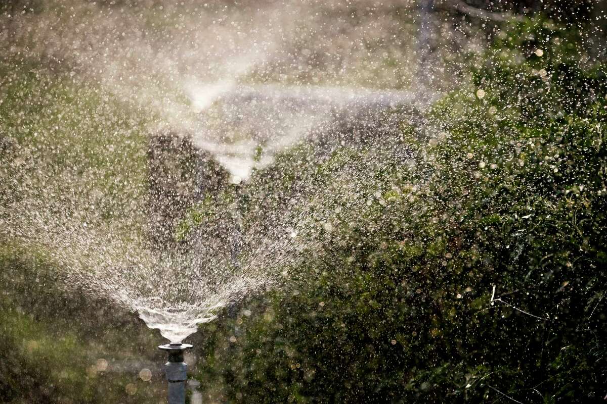 An irrigation system waters plants at the Montgomery County Senior's Garden, Friday, June 16, 2023 in Conroe. Dangerous heat will continue across Montgomery County through the weekend. Saturday is forecast to be particularly brutal, with the heat index topping 110 degrees. High temperatures this weekend are expected to remain at 100 or higher. Juneteenth will be sunny and hot with a high of 103 in Conroe. Triple-digit temperatures are expected through at least Tuesday in the area. With humidity, some areas will feel as hot as 115 degrees. Heat advisories are expected to be in place until at least early next week.