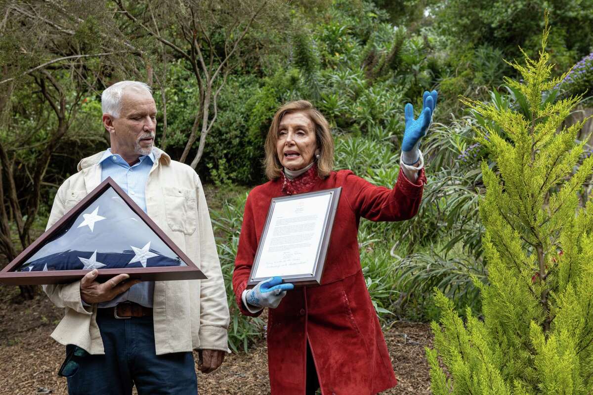 Pelosi's WWII Commemoration: A Heartfelt Tribute Shadowed by Health Concerns