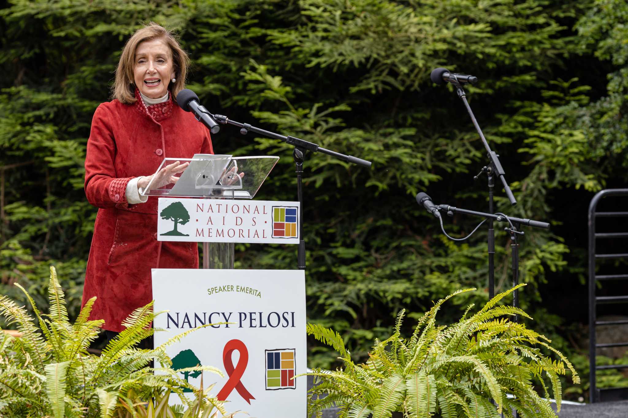 Pelosi's WWII Commemoration: A Heartfelt Tribute Shadowed by Health Concerns