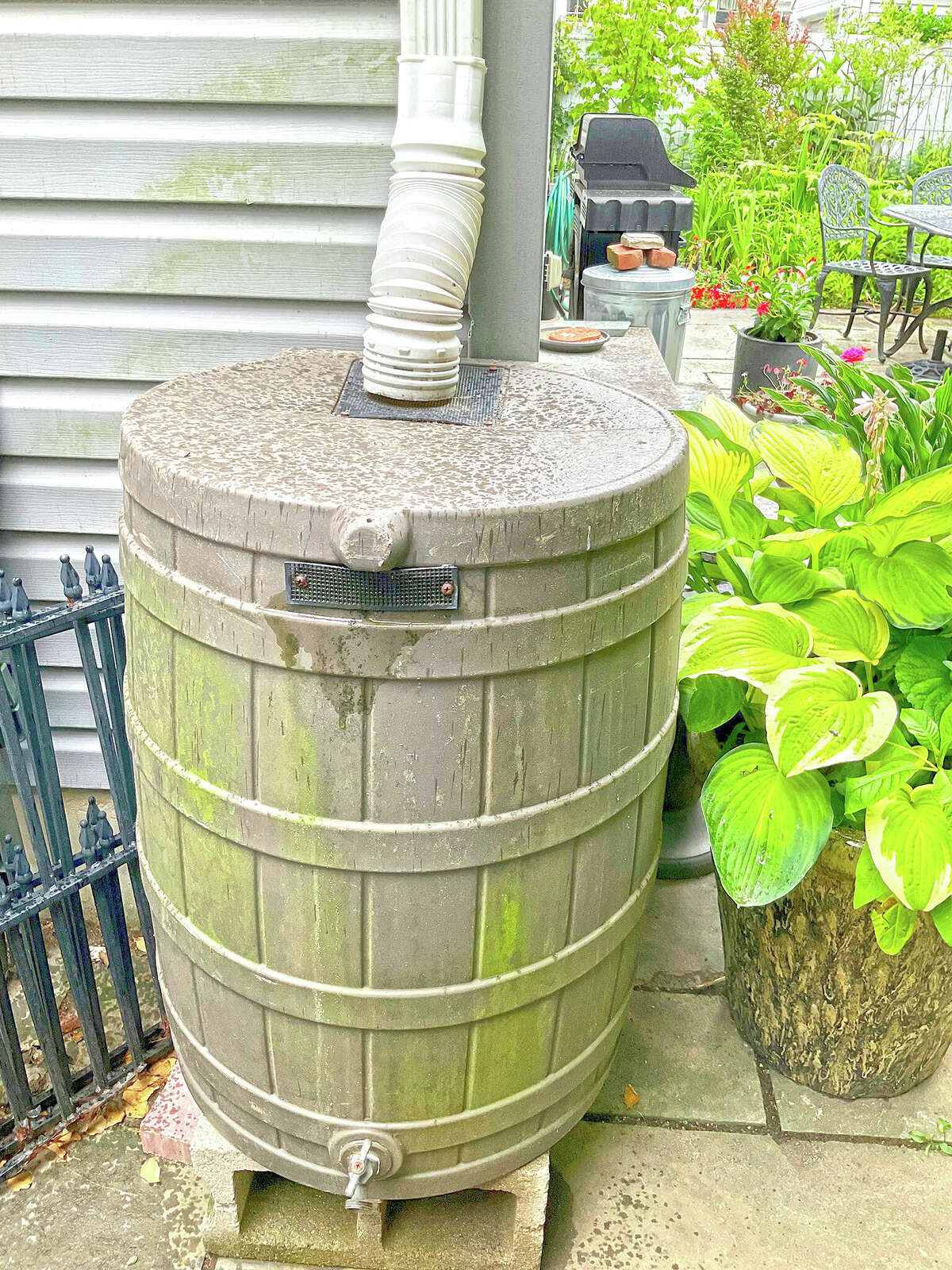 Garden watering techniques can save money, gallons